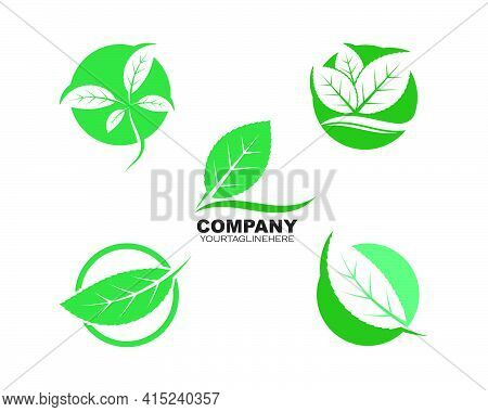 Green Leaf Ecology Nature Element Vector Icon Of Go Green
