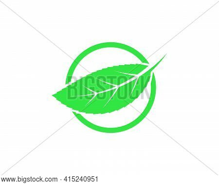 Green Leaf Ecology Nature Element Vector Icon Of Go Green