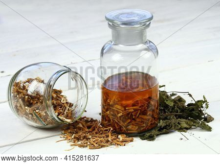Tincture From Dried Nettle Roots And Alcohol.   Urtica Diocica, Curative Herb Tincture Is Good For H