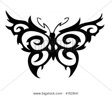 Farfalla