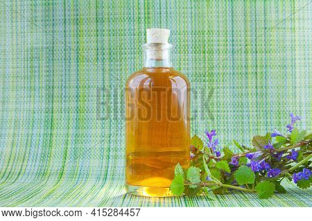 Bugleherb Essential Oil In A Beautiful Bottle On The Green Background