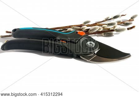 Metal Garden Pruner For Cutting Young Shoots On Plants.