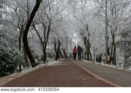 People Walking On The Street. Real People. View Vrom Behind.