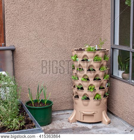 A Variety Of Small Starter Herbs And Vegetables Are Planted Vertically On An Apartment Patio Garden,