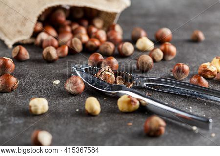 Closeup Selective Focus Image Of Hazelnuts In Shells Scattered From A Vintage Burlap Sack Onto Dark 