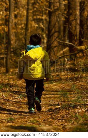 A Boy Wearing A Winter Coat With A Hood Is Walking Alone In A Hiking Trail Covered With Fallen Autum