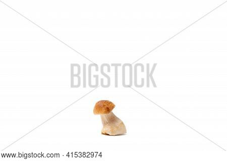 Single Brown Cap Boletus Edulis Isolated On White Background. Raw Edible Mushroom. Nobody