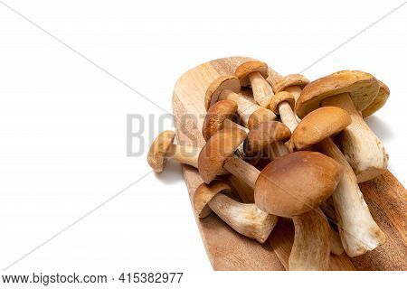 Brown Cap Boletus Edulis On A Cutting Board On White Background. Edible Mushrooms On A Wooden Plank