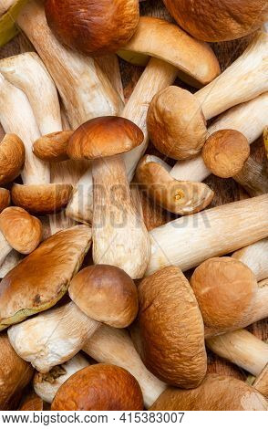 Brown Cap Boletus Edulis Background. A Lot Of Edible Mushrooms On A Kitchen Table. Nobody