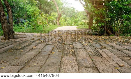 Free Form Pattern Of Black Stone Walkway And White Gravel In Garden Of Park, Greenery Fern Epiphyte 