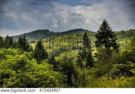 Panorama Of The Carpathian Mountains