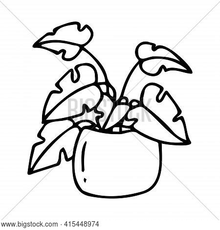 Vector Pot With A Large Flower Isolated On A White Background In Doodle Style. A Flower With Large L