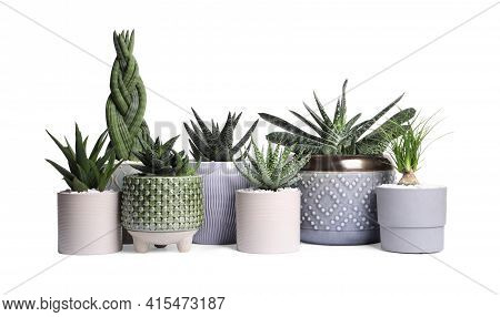 Different House Plants In Pots Isolated On White