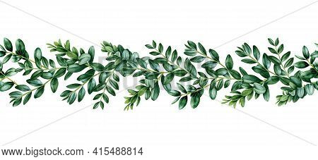 Green Leaf Buxus Seamless Border. Lush Boxwood Branch Decor. Floral Endless Decorative Ornament. Wat