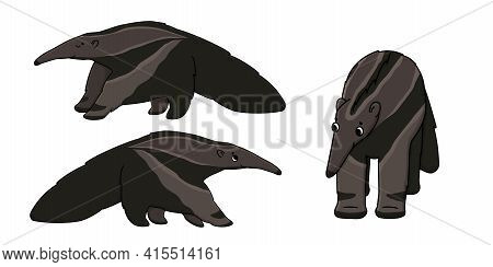 Set Of Three Brown Cute Beautiful Outline Cartoon Isolated Ant-eaters Or Anteaters. Vector Animals S