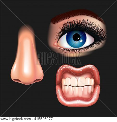 Set Of Beautiful Female Eyes With Extended Eyelashes, Nose And Shining Mouth With Glossy Lips. Grinn