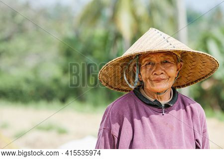 Ubud, Bali Island, Indonesia - March 25, 2017: Indonesian Farmer Woman Harvesting, Winnowing Rice Gr