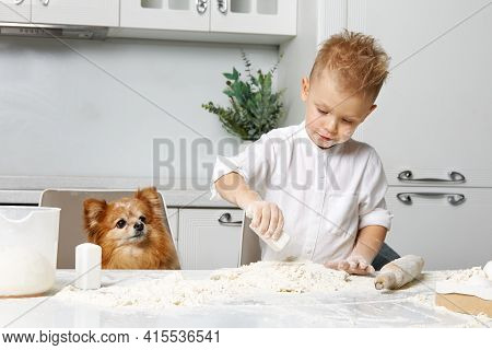 A Happy Child With A Pomeranian Dog Is Cooked In A White Kitchen From Dough, The Boy Is Smeared With
