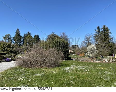 Conservatory And Botanical Garden Of The City Of Geneva (conservatoire Et Jardin Botaniques De La Vi