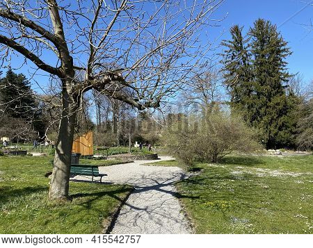 Conservatory And Botanical Garden Of The City Of Geneva (conservatoire Et Jardin Botaniques De La Vi