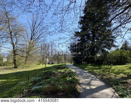 Conservatory And Botanical Garden Of The City Of Geneva (conservatoire Et Jardin Botaniques De La Vi