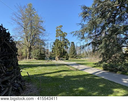 Conservatory And Botanical Garden Of The City Of Geneva (conservatoire Et Jardin Botaniques De La Vi
