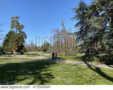 Conservatory And Botanical Garden Of The City Of Geneva (conservatoire Et Jardin Botaniques De La Vi