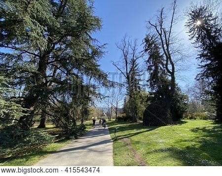 Conservatory And Botanical Garden Of The City Of Geneva (conservatoire Et Jardin Botaniques De La Vi