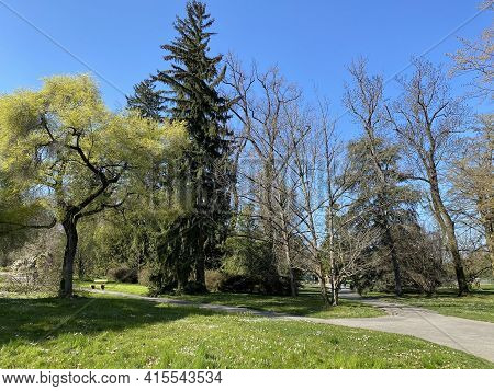 Conservatory And Botanical Garden Of The City Of Geneva (conservatoire Et Jardin Botaniques De La Vi