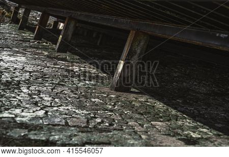 A Mossy Greenish Stone Textured Surface Under A Pier At Low Tide Covered With A Crust Of Dried Algae