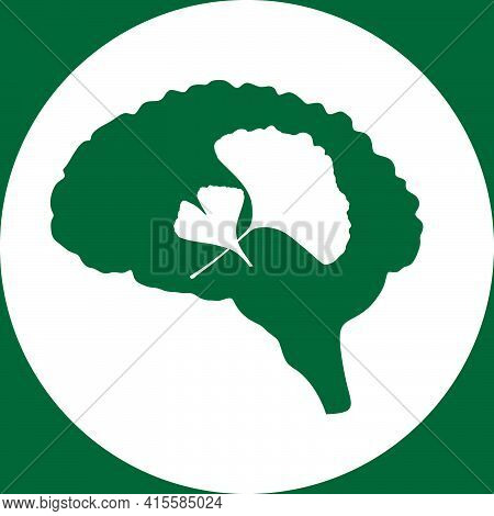Brain And Ginkgo Leaves Icons Vector Illustration, Ginkgo Biloba Leaves