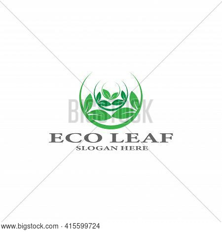 Tree Leaf Vector Logo Design Eco Friendly Concept