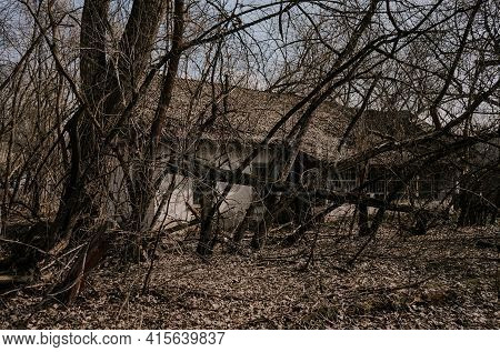 An Old Rural House Is Allowed And Overgrown After The Tragedy In Chernobyl