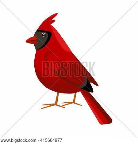Vector Design Of Cardinal And Red Sign. Collection Of Cardinal And Bird Stock Symbol For Web.