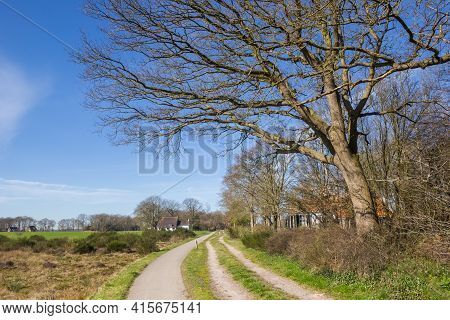 Bicycle Path Through The Nature Reserve Drents-friese Wold, Netherlands