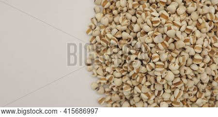 Job's Tears, Also Known As Adlay And Coix On White Background. Popular In Asian Cultures As A Food S