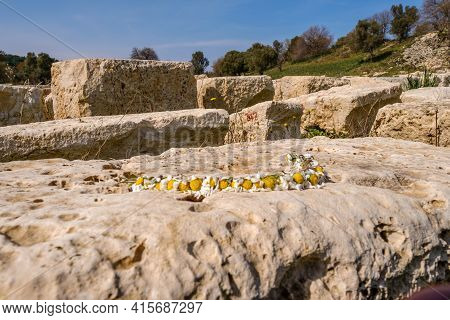 Seferihisar, Izmir, Turkey - 03.08.2021: Daisies On Ancient Historical Roman Greek Stones Near Archa