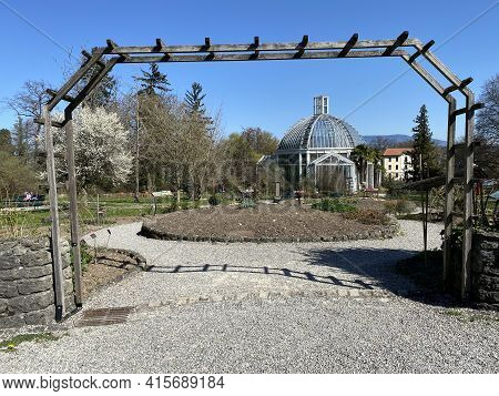 Temperate House (serre Tempérée), Conservatory And Botanical Garden Of The City Of Geneva (conservat