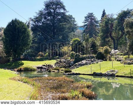 Rockery Or Rocailles, Conservatory And Botanical Garden Of The City Of Geneva (conservatoire Et Jard