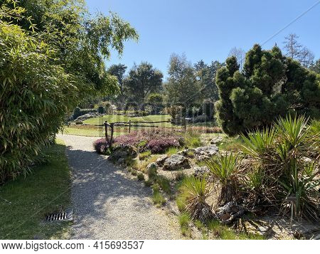 Rockery Or Rocailles, Conservatory And Botanical Garden Of The City Of Geneva (conservatoire Et Jard