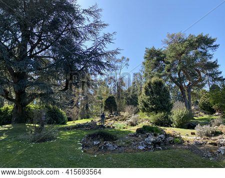 Rockery Or Rocailles, Conservatory And Botanical Garden Of The City Of Geneva (conservatoire Et Jard