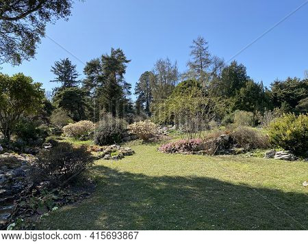 Rockery Or Rocailles, Conservatory And Botanical Garden Of The City Of Geneva (conservatoire Et Jard