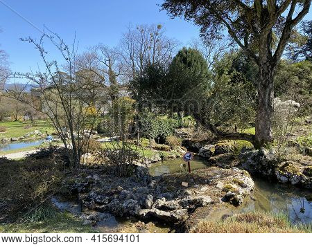 Rockery Or Rocailles, Conservatory And Botanical Garden Of The City Of Geneva (conservatoire Et Jard
