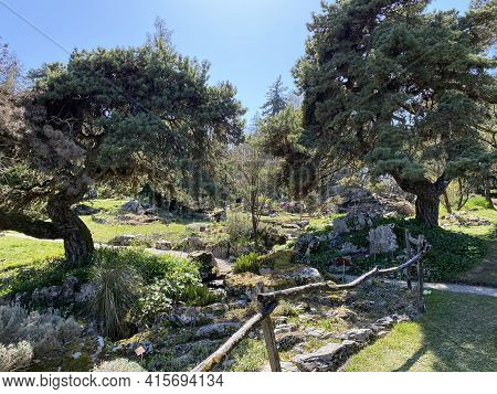 Rockery Or Rocailles, Conservatory And Botanical Garden Of The City Of Geneva (conservatoire Et Jard