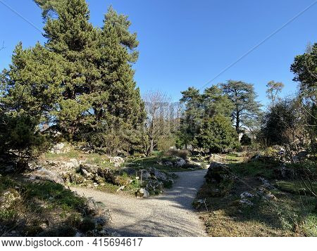 Rockery Or Rocailles, Conservatory And Botanical Garden Of The City Of Geneva (conservatoire Et Jard