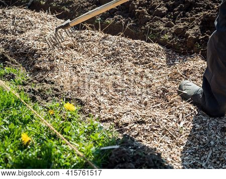 Farmer Raking Shredded Wood On Top Of A Permaculture Trench With Wood Logs And And Grass In Foregrou