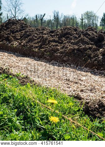 Vertical - Permaculture Trench With Shredded Wood On Top And Green Grass Foreground