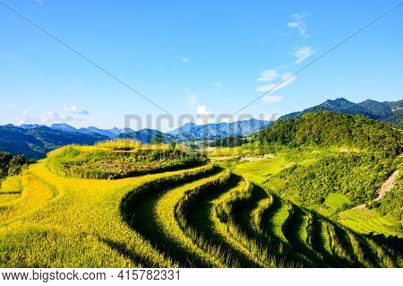 A Beautiful Terraced Field Plot In Tua Chua District, Dien Bien Province, Vietnam