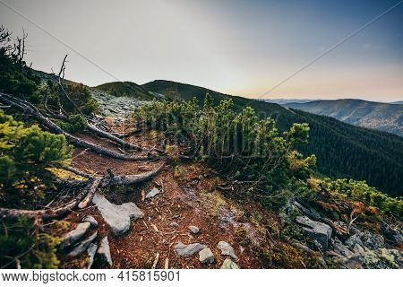 A Rocky Mountain With Trees In The Background