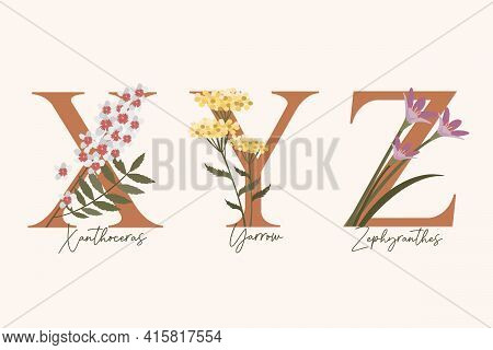 Hand Drawn Floral Alphabet With Spring Flowers In Pastel Colors.letters X, Y, Z With Flowers Zephyra